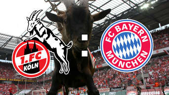 [Bild: 1943241063-fc-bayern-fc-koeln-Mm-Cfcvd-Egac.jpg]